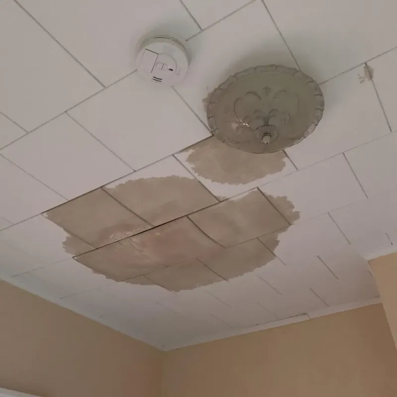 Ceiling Water Damage Repair in Dixon County, NE