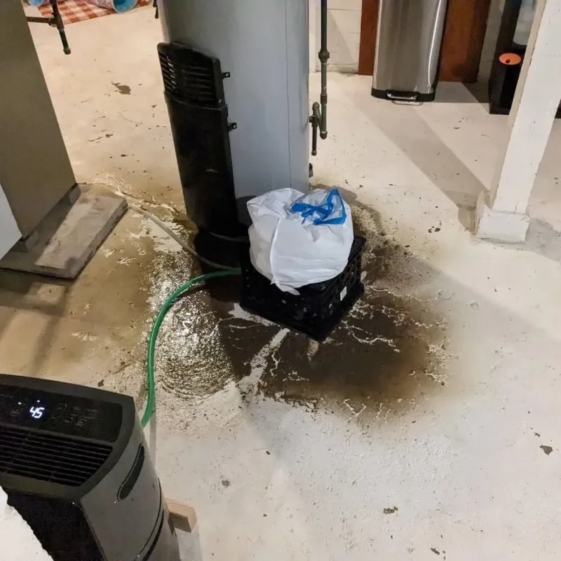 Sewage Backup Cleanup Service in Dixon County, NE